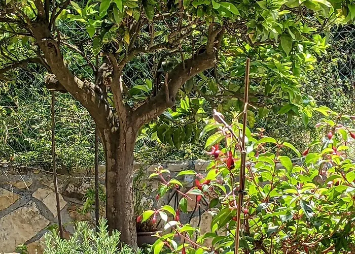 Bilbao Caserio Gondra Alquiler *