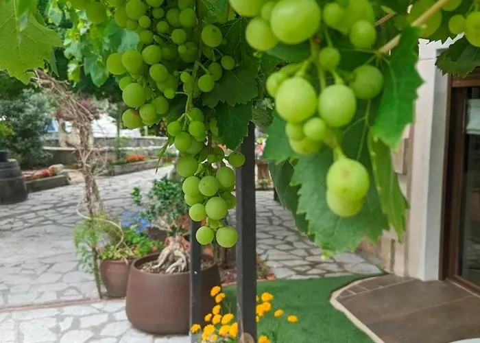 Bilbao Caserio Gondra Alquiler Mungia