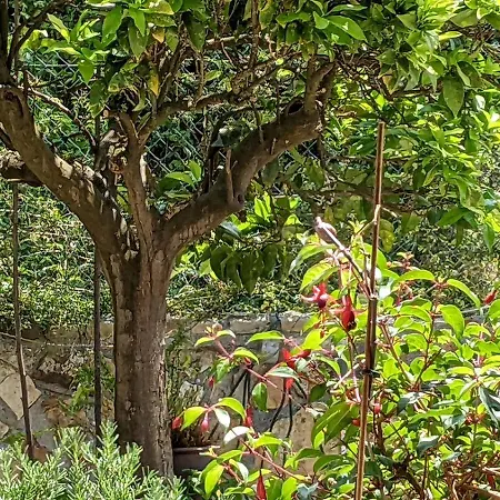 Bilbao Caserio Gondra Alquiler *